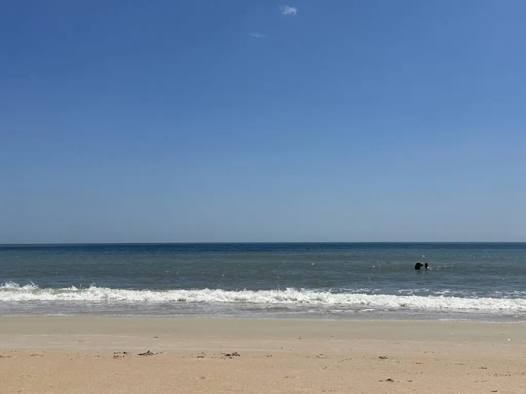 Palm Coast Coastal Beach - Jungle Hut Road