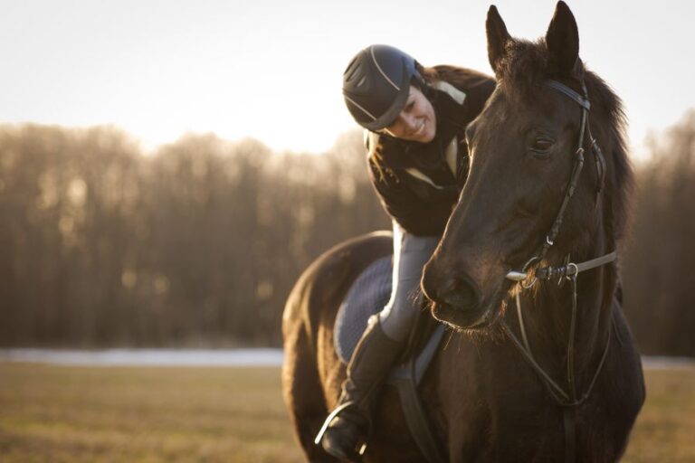 Why Horse Lovers are Galloping to Flagler Beach Polo Club