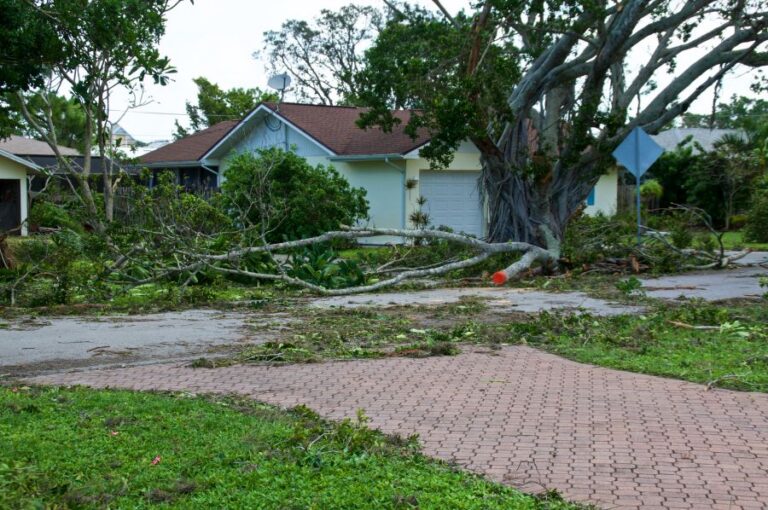 Navigating Hurricane Season
